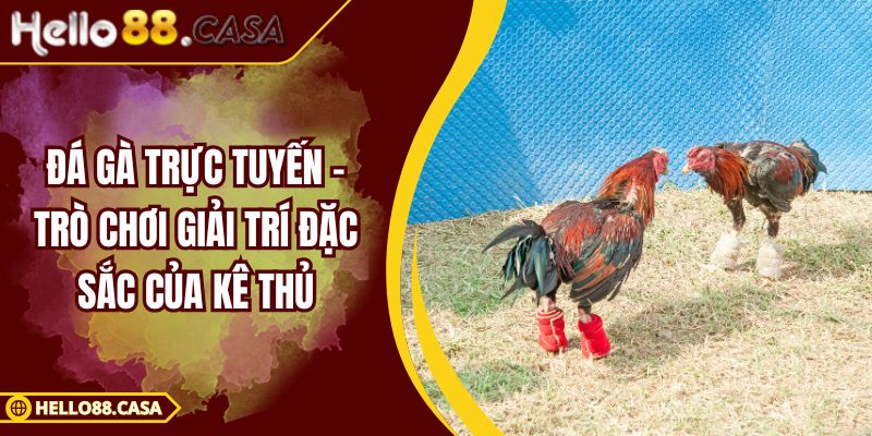 Đá Gà Trực Tuyến – Trò Chơi Giải Trí Đặc Sắc Của Kê Thủ