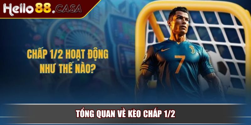 Kèo Chấp 1/2 – Mẫu Kèo Phổ Biến Mà Người Chơi Cá Độ Bóng Đá 2 Tổng quan về kèo chấp 1/2